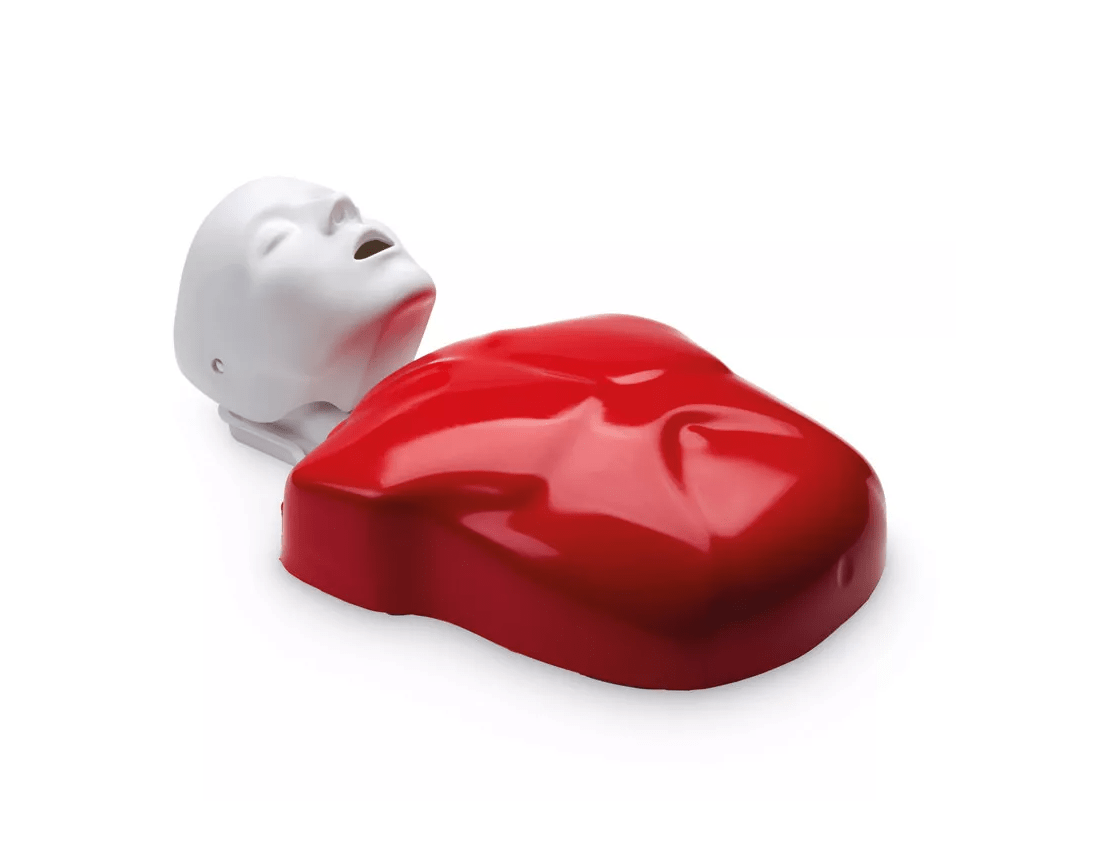 Basic Buddy Plus - Erler - Zimmer